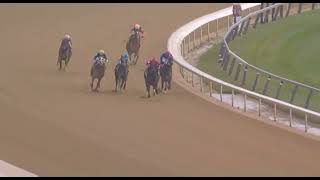 RACE 1  / AQUEDUCT  / USA / 13 NOV 2025