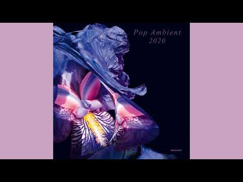Pop Ambient 2020 (full album)