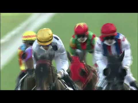 2022 The Chairman's Trophy G2 - Golden Sixty (金鎗六十) - CY.Ho