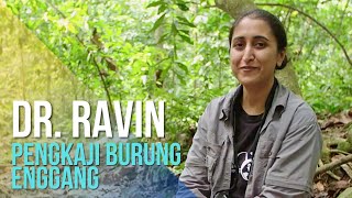 Download lagu Pengkaji Burung Enggang di Malaysia (Studying Hornbills with Dr. Ravin) mp3 Download lagu Pengkaji Burung Enggang di Malaysia (Studying Hornbills with Dr. Ravin) mp3