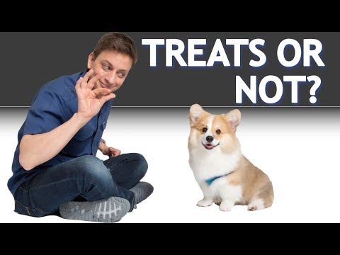If, Why, and How You Should Use Treats When Training Your Dog