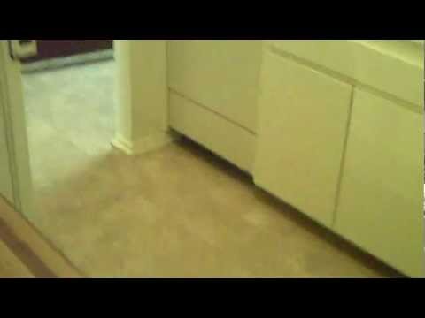 Large 2 Bed Apartment For Rent In West LA - Missouri Ave & Bentley Ave - 562Rent.com