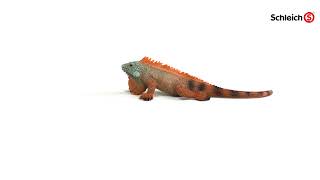 Schleich Leguán