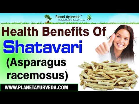 Health benefits of shatavari/ asparagus racemosus