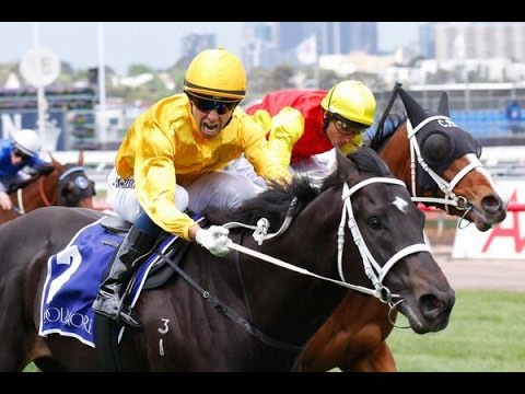 COOLMORE STUD STAKES-1 NOV FLEMINGTON