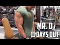 11 DAYS OUT OLYMPIA - SUPERSET Arm Workout - What I Eat in a Day