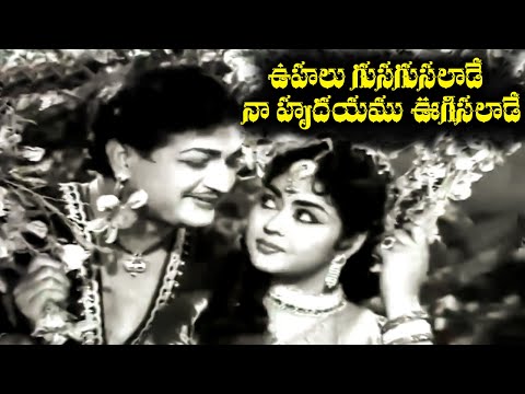 OOHALU GUSAGUSALADE NAA HRUDHAYAMU  | SONG | BANDIPOTU |  N.T.RAMA RAO | KRISHNA KUMARI  | V9 VIDEOS