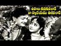 OOHALU GUSAGUSALADE NAA HRUDHAYAMU SONG BANDIPOTU N T RAMA RAO KRISHNA KUMARI V9 VIDEOS
