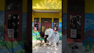 Download lagu Can macanan kasih topeng kedok cantik ke Kak sulis mp3 Download lagu Can macanan kasih topeng kedok cantik ke Kak sulis mp3