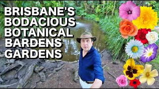 Brisbane’s Bodacious Botanical Bardens Gardens