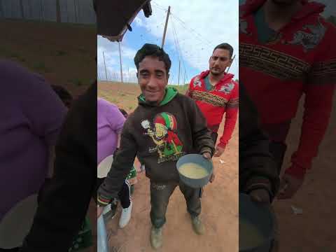 Kamenná Poruba saní chmeľ 2025