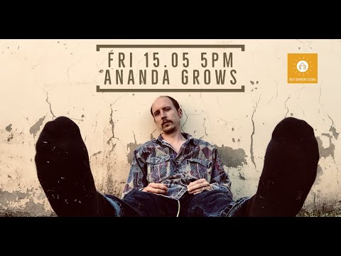 Crazy Quarantine Session #29 - Ananda Grows