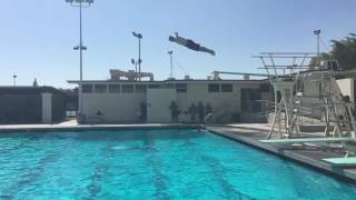 Suicides (the jump into the pool)