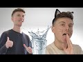 When Cats See A Cup Of Water Shorts