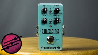 TC Electronic Quintessence Harmonizer Demo (Ambient Guitar Gear Review)