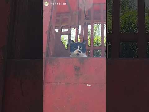 PASEO VIRTUAL [4K] 05/03/2026 (Marcos Paz, Buenos Aires, Argentina) 2/2 #travel #marcospaz #turismo