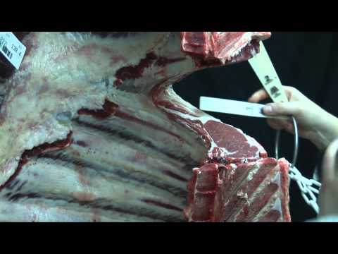 How a beef carcase is graded to Meat Standards Australia (MSA) specifications