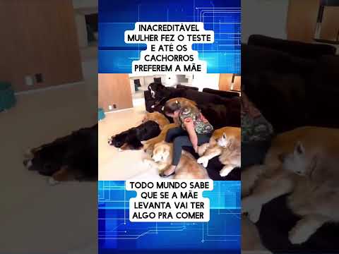 ALGUÉM TEM ALGUMA DÚVIDA QUE É ASSIM?