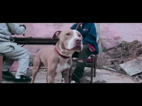 Official Boss Karrot Folgers Crystals Boss Mix