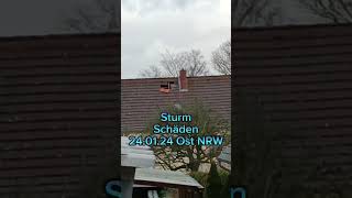 Sturm Ylenia | Baum fällt auf Haus in Wildau