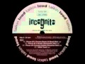 Incognito - Pieces Of A Dream (Samba Sensation ...