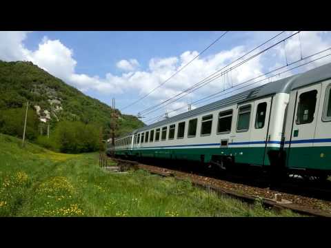 TARTARUGA R444-067 TITOLARE DELL' IC TRANSITA A RIGOROSO.(AL) 15 - 4 - 2017