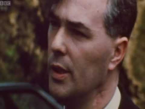 Pop Goes Northern Ireland 1971