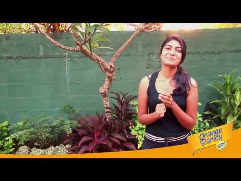 Orange Barley Memories are made out of this