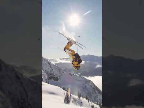 Backie from @HedvigWesselYT‘s new episode “Cookies and Spines”.