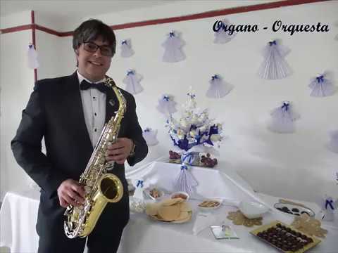 SAXOFONISTA SAXOFONISTAS DESPACITO SAXOFON ORGANISTA ORGANISTAS BOGOTA