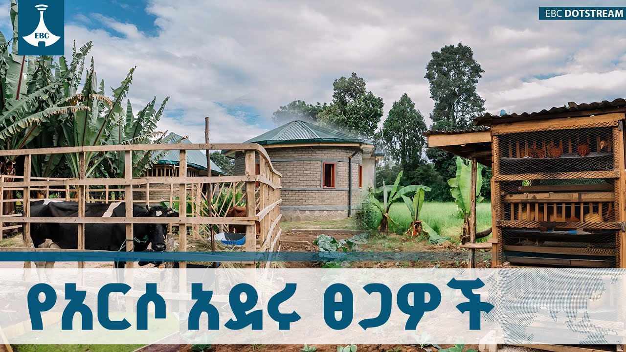 የገጠር ኮሪደር እሳቤ አርሶ አደሩ ያሉትን ፀጋዎች ተጠቅሞ ዘመናዊ ኑሮን መምራት እንዲ