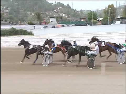 Trotto 12/05/2017 - 2ª corsa