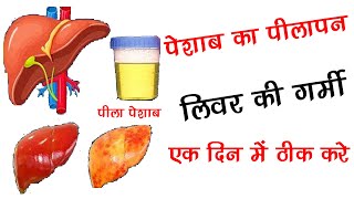 पेशाब का पीलापन और लिवर की गर्मी को एक दिन में खत्म करें  How to Cleanse Your Liver In Hindi