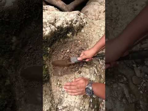 Don’t Ignore River Rocks Like This! Gold DiscoveryGold Panning Tips