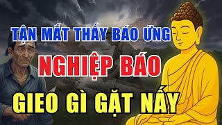 TẬN MẮT THẤY BÁO ỨNG – GIEO GÌ GẶT NẤY, NGHIỆP KHÔNG SAI MỘT LY