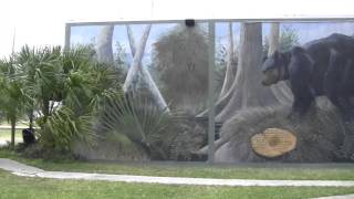 preview picture of video 'A look @ some of the murals in Lake Placid, FL.  (Part 2)'