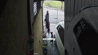 Pitbulls teach burglar a lesson!