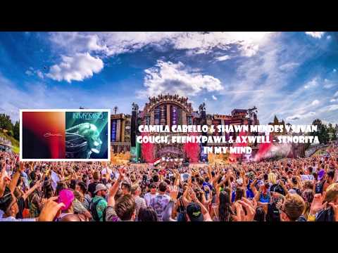 Camila Cabello & Shawn Mendes Vs Ivan Gough, Feenixpawl & Axwell - Senorita In My Mind
