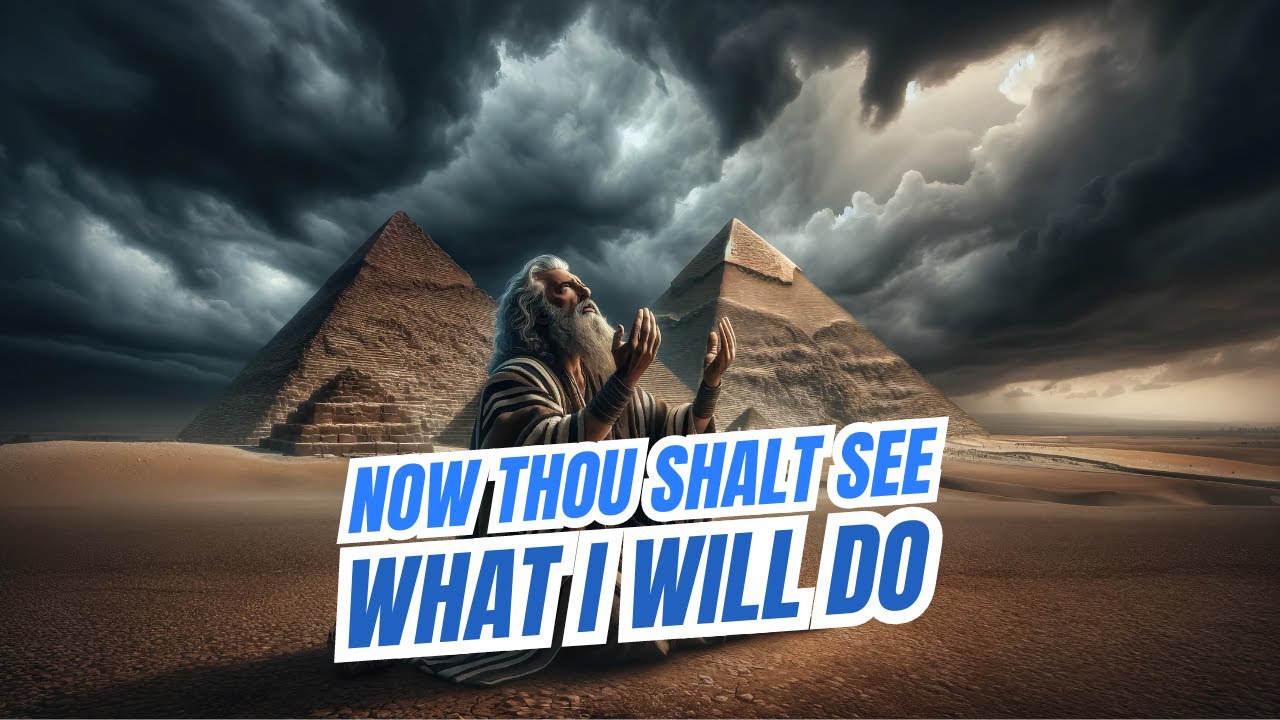 “Now Thou Shalt See What I Will Do" | Deliverance Series | Lesson 07
