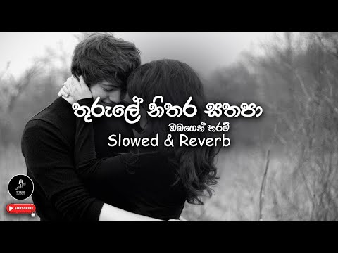 🎶 තුරුලේ නිතර සතපා (ඔබගෙන් තරම්) | #Thurule_Nithara_Sathapa | Slowed & Reverb | @TSMusic