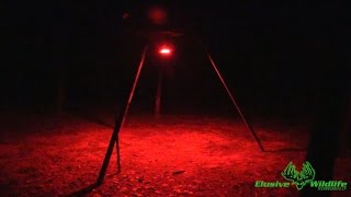 Kill Light XTREME Motion Feeder Light Extremely Bright Red Light