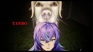 【たんぼ】犬の散歩をします【星導ショウ/にじさんじ】