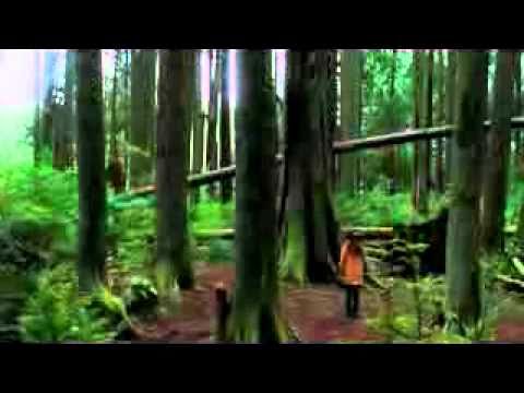 delyno ft. looloo-private love3gp