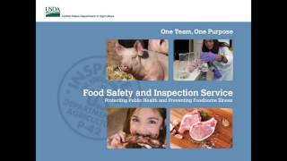 PHIS Export Training Webinar