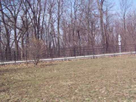 Mangalarga Marchador