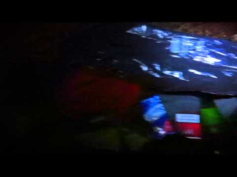 Unwetter beim Solo im Wald