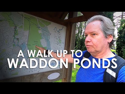 A Walk to WADDON PONDS