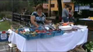 preview picture of video 'Hotel Casa Vieja del Sastre: El mercao (Mercadin2010)'