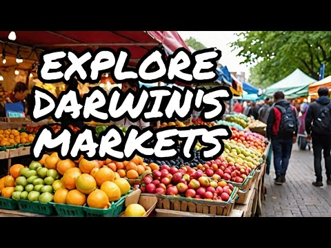 4K Walk through Palmerston Markets Darwin Australia