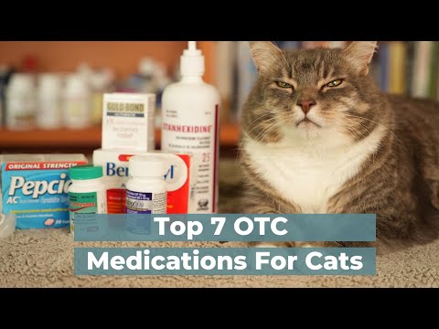 7 OTC Human Medications Safe and Effective for Cats